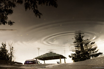 120616_271-3_web
