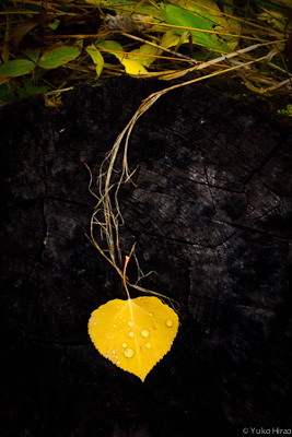 120925_090_web