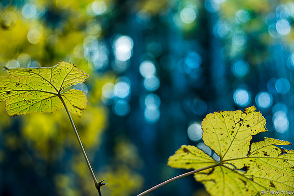 120929_075_web