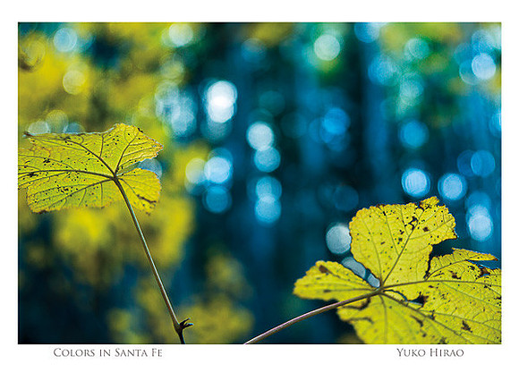 1_Info_postcard-5inx7in-h-front