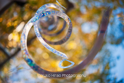 Dance with wind I