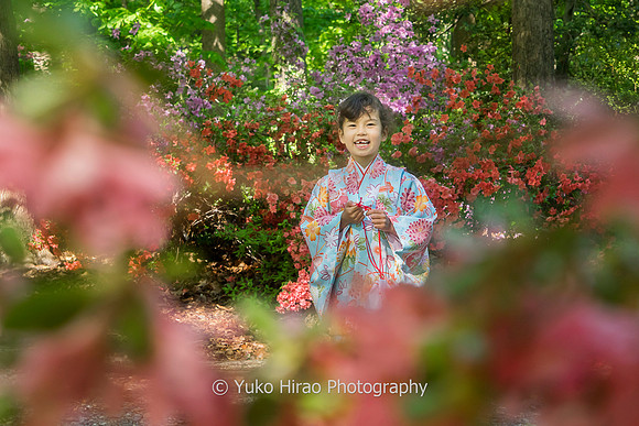 Sample_2304148