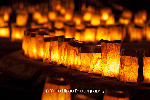 Luminaria