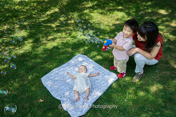Sample_1803593