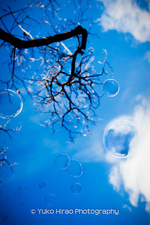 Bubbles up